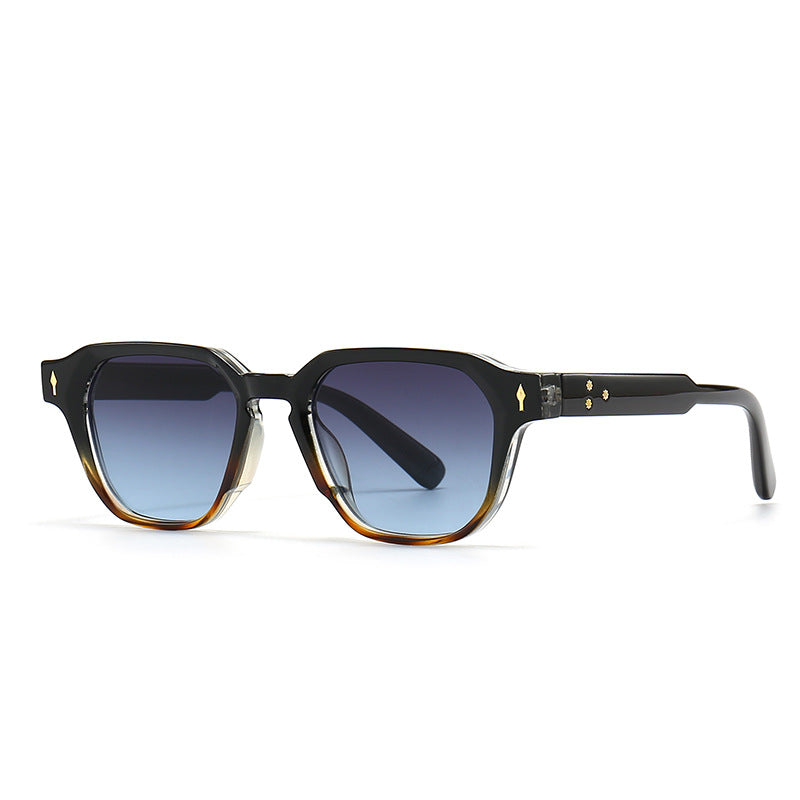 Lunettes de soleil polarisées Skyline