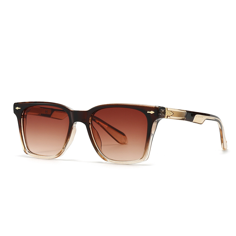 Lunettes de soleil Solar Frost