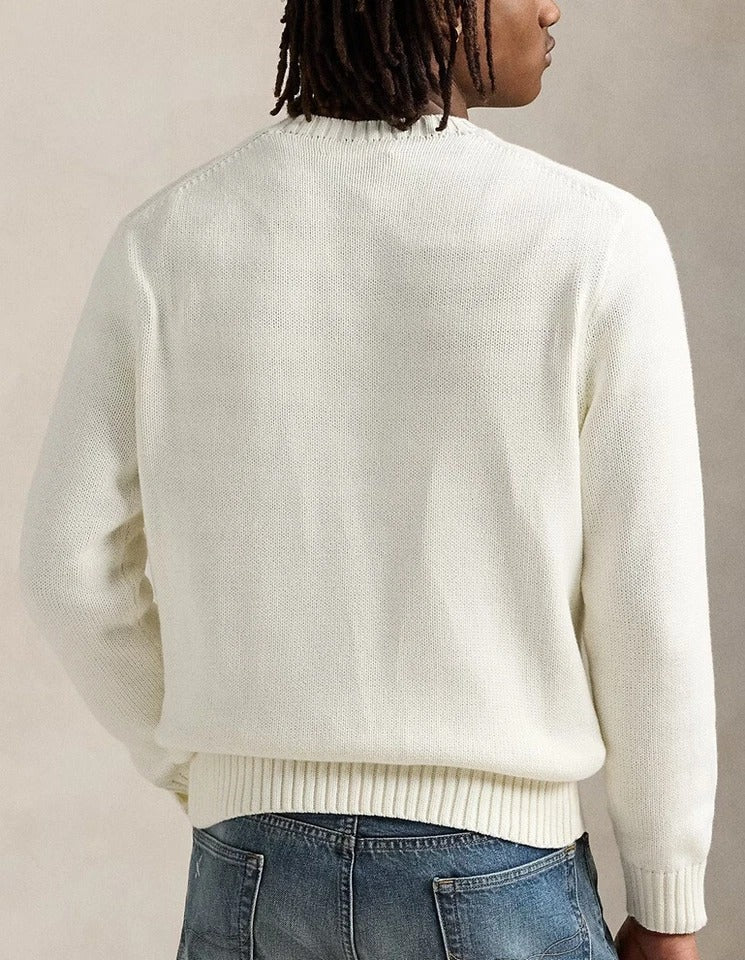 Pull homme | Polo Bear bleu